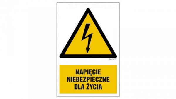 ZNAK - HA002 Napięcie niebezpieczne dla życia 15 x 22,5 cm FN - Folia samoprzylepna