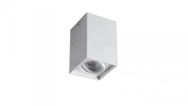 Kanlux oprawa sufitowa GORD XS DLP-50-W biała, regulowana