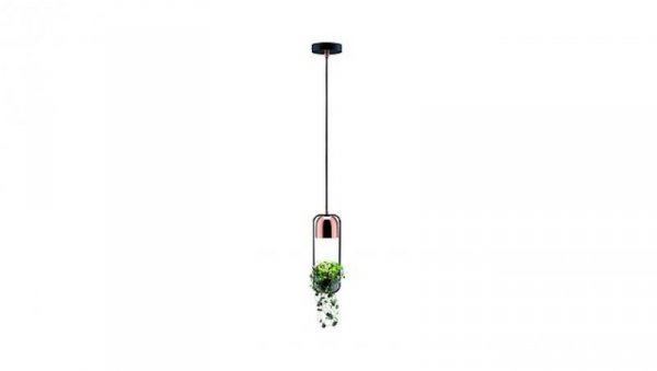 Oprawa wisząca Neordic Fanja 1x20W GU10 Czarny/Miedź 230V Metall PL79749
