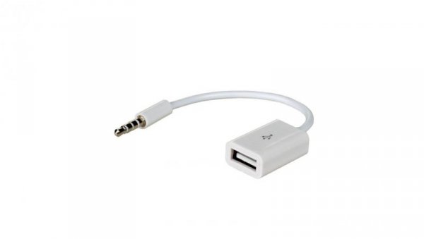 Adapter z kablem Akyga AK-AD-24 USB A (f) / mini Jack (m) 15cm