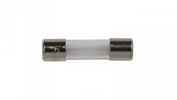 Wkładka aparatowa 5x20mm 10A F /szybka/ 250V 006710027 /10szt./