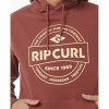 Bluza z kapturem Męska Rip Curl Stapler Hood Brązowy