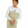 Bluza bez kaptura Męska Puma ESS+ Block M