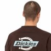 Koszulka z krótkim rękawem Męska Dickies Ss Ruston Brązowy