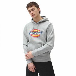 Bluza z kapturem Męska Dickies