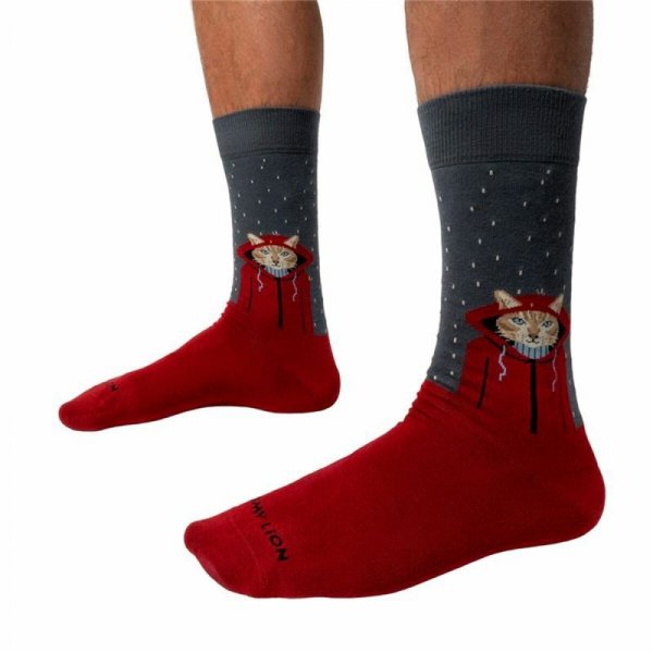 Skarpety Sportowe Jimmy Lion Raining Cat Brązowy