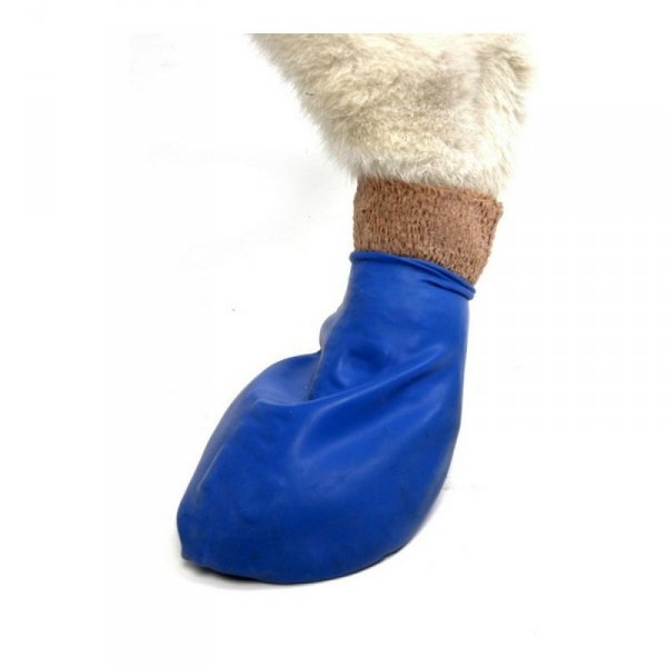 Buty Pawz Pies 12 Sztuk Rozmiar XL Kolor Zielony