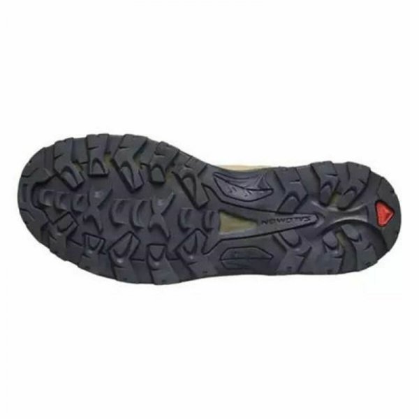 Buty górskie Salomon Quest Rove Gore-Tex Mężczyzna Brązowy