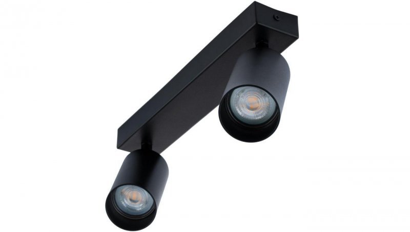 Lampa sufitowa TABULA SPOT reflektor oprawa halogenowa skośna do LED 2x GU10 LUMILED