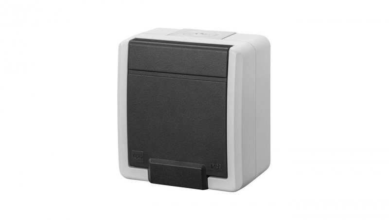 AQUANT 2K gniazdo natynkowe pojedyncze z uziemieniem 2P+Z IP55 szary 5041-10