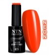 Lakier hybrydowy NTN premium California Collection nr 142