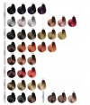 Color Art Desiree Farba do włosów 8,1 Popielaty Jasny Blond - 100ml
