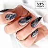 Lakier hybrydowy Ntn Premium Romantica Collection 5g Nr 101