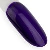 Lakier hybrydowy Ntn Premium Multicolor Collection 5g Nr 83