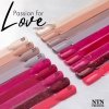 Lakier hybrydowy Ntn Premium Passion for Love Collection 5g Nr 202