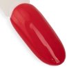 Lakier hybrydowy Ntn Premium Oriental Delice 5g Nr 269