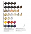 Color Art Desiree Farba do włosów 10,08  Bursztynowy superblond - 100ml
