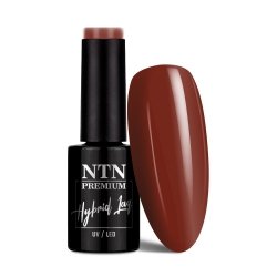Lakier hybrydowy NTN Premium Springtime selfie 5g Nr 280