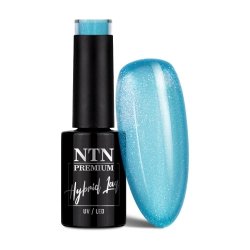 Lakier hybrydowy Ntn Premium Impression 5g Nr 256