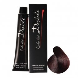 STAPIZ Color Art Desiree Farba do włosów 5,6 Czerwony Kasztan 100ml