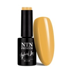 Lakier hybrydowy Ntn Premium Seductive Collection 5g Nr 129