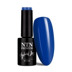 Lakier hybrydowy Ntn Premium Seductive Collection 5g Nr 127