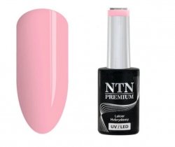 Lakier hybrydowy NTN Premium Birthday Party Collection 5g Nr 50