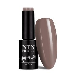 Lakier hybrydowy Ntn Premium Show Collection 5g Nr 111