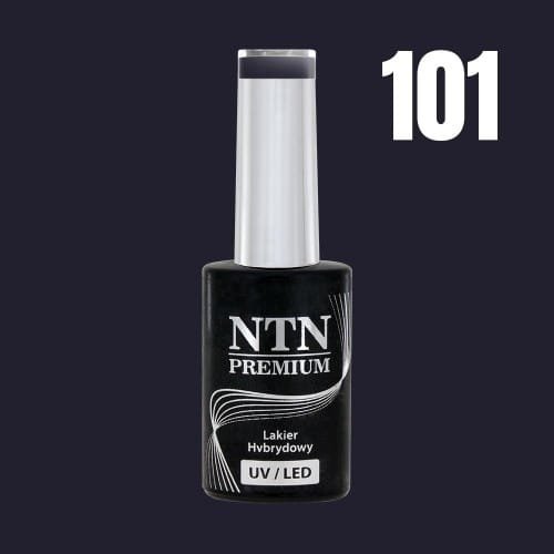 Lakier hybrydowy NTN Premium Romantica 101 5g