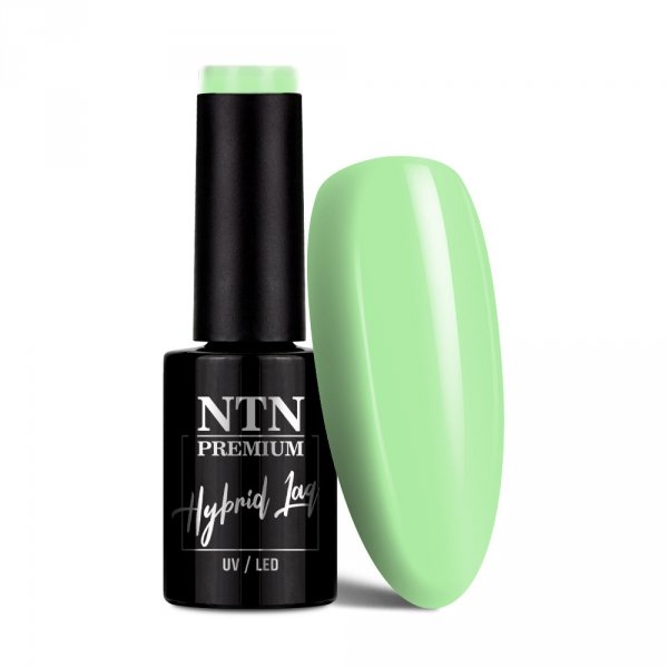 Lakier hybrydowy Ntn Premium California Collection 5g Nr 138