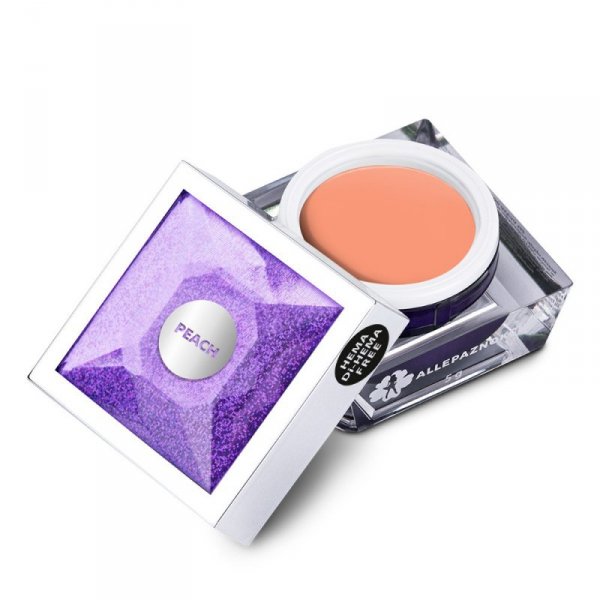 Żel do zdobień Artistic Gel paint gel ombre ornamenty Allepaznokcie Art Peach Brzoskwinia HEMA /Di-HEMA free 5g Nr 8