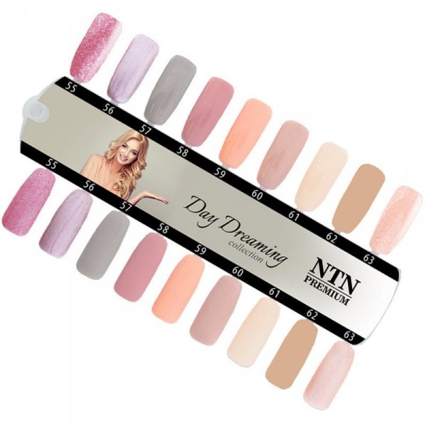 Lakier hybrydowy NTN Premium Day Dreaming Collection 5G NR 61