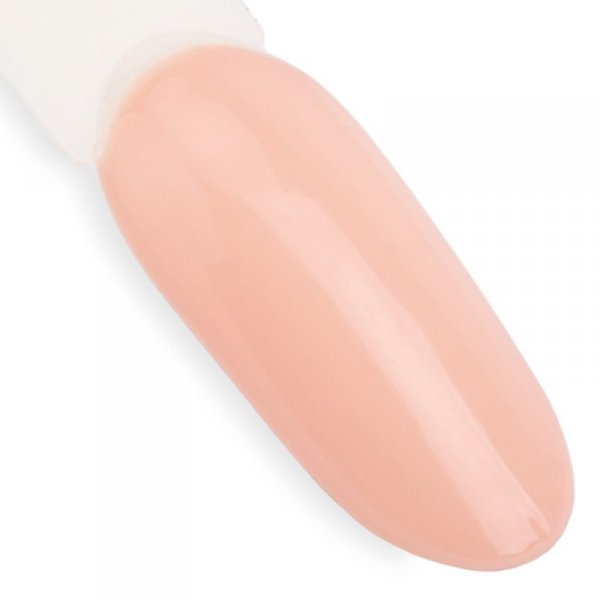 Lakier hybrydowy NTN Premium Topless Collection 5G NR 16