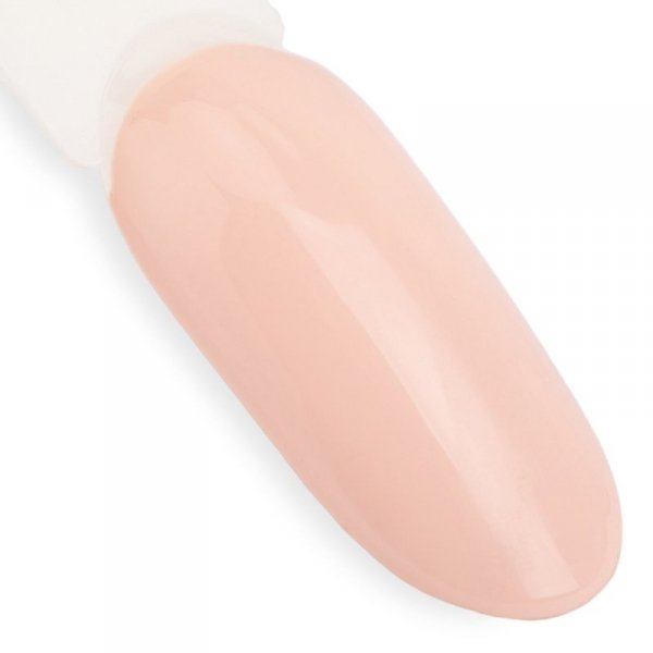 Lakier hybrydowy NTN Premium Topless Collection 5G NR 17