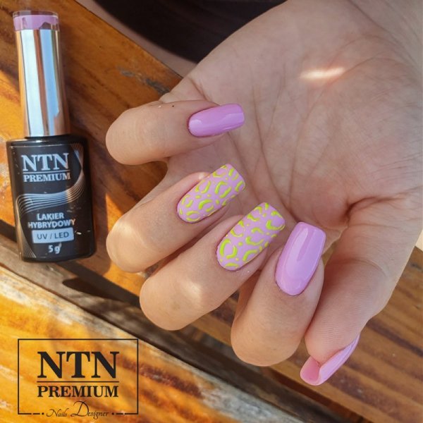 Lakier hybrydowy NTN Premium Garden Party Collection 5g Nr 175