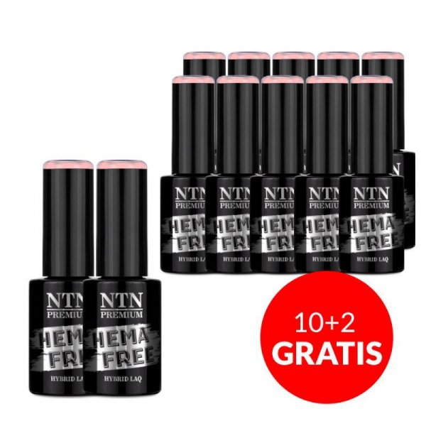 Lakier hybrydowy Ntn Premium Milkshake 5g Nr 309