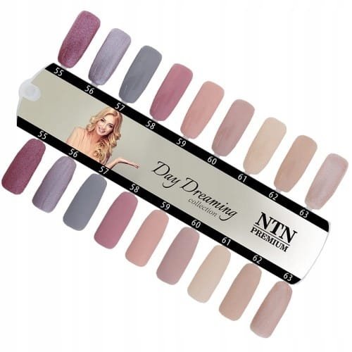 Lakier hybrydowy NTN premium Day Dreaming 5g 63 Hema/Di-Hema Free