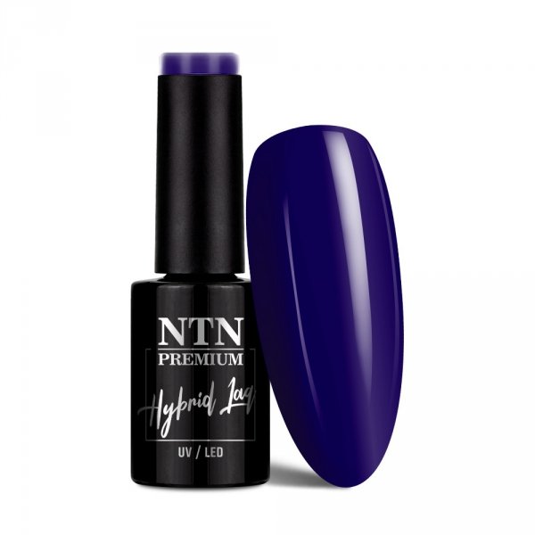 Lakier hybrydowy NTN Premium After Midnight Collection 5G NR 69