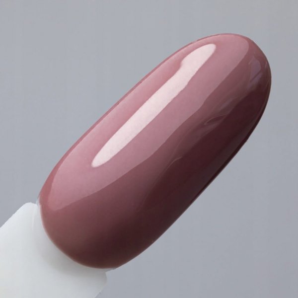 Lakier Hybrydowy NTN 5g Limited Edition Brązowy Brown Brąz Nr359