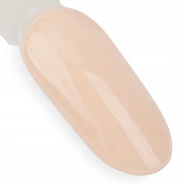 Lakier hybrydowy NTN Premium Day Dreaming 61 5g