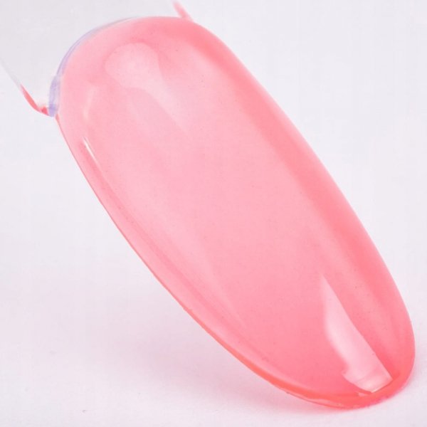 NTN lakier hybrydowy do paznokci kolor nr 291 5g