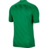 Koszulka Nike Dri Fit Challange 3 Y BV6738 302 zielony M
