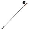 Kije Nordic Walking Titanium 105 cm 