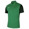 Koszulka Nike Polo Trophy IV Y JSY BV6749 302 zielony XL (158-170cm)