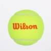 Piłka tenisowa Wilson Starter Orange żółty 