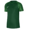Koszulka Nike Dri-Fit Academy DH8031 302 zielony S