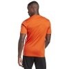 Koszulka adidas Tabela 23 IB4927 pomarańczowy M
