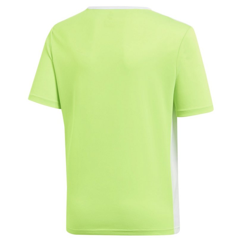 Koszulka adidas Entrada 18 JSY Y CE9755 zielony 164 cm