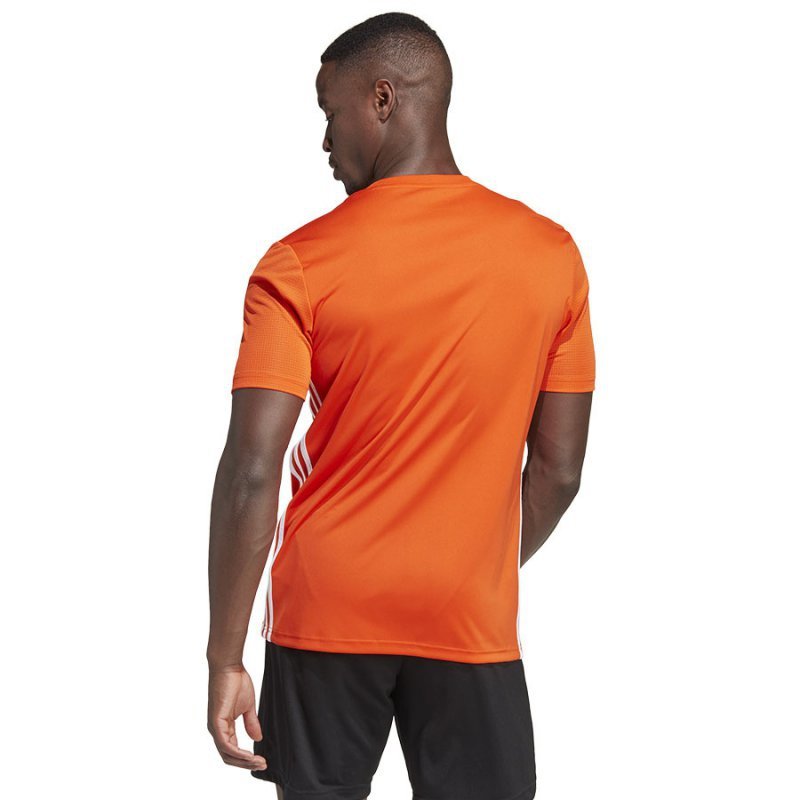 Koszulka adidas Tabela 23 IB4927 pomarańczowy M