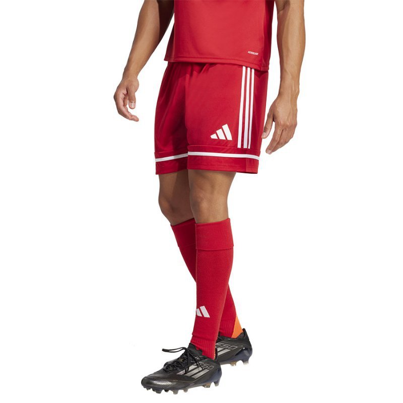 Spodenki adidas SQUADRA 25 Short JN5466 czerwony M